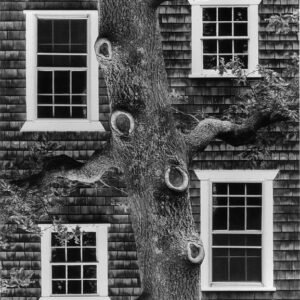 Chilmark Community Ctr.