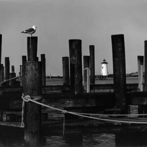 Edgartown_Light_and_Gull