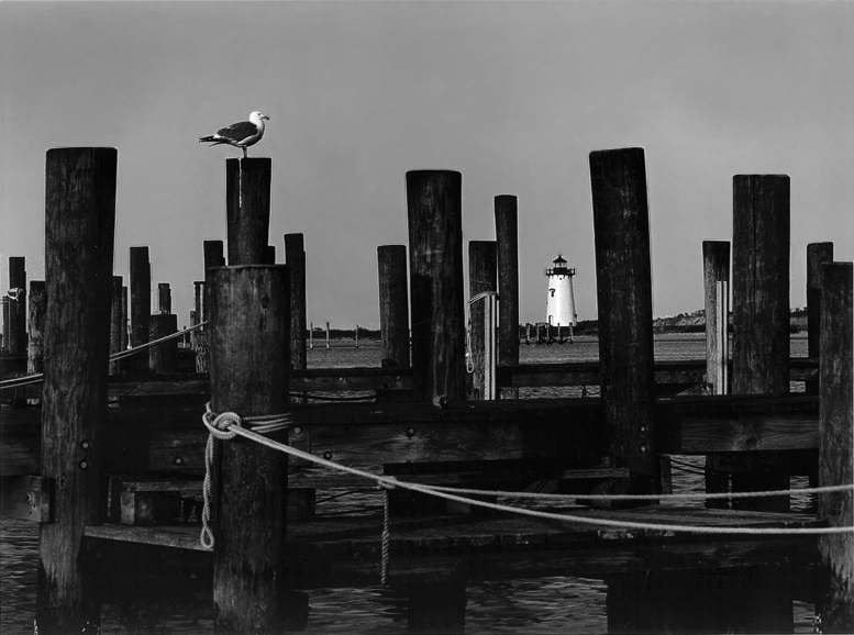 Edgartown_Light_and_Gull