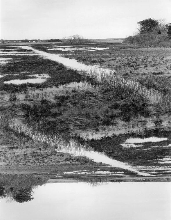 Edgartown_Marsh