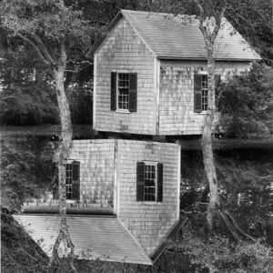 Edgartown_Shed_with_2_Trees