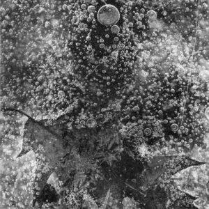 Noanet_Ice_Bubbles