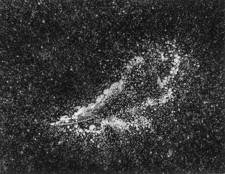 Noanet_Ice_with_Leaf