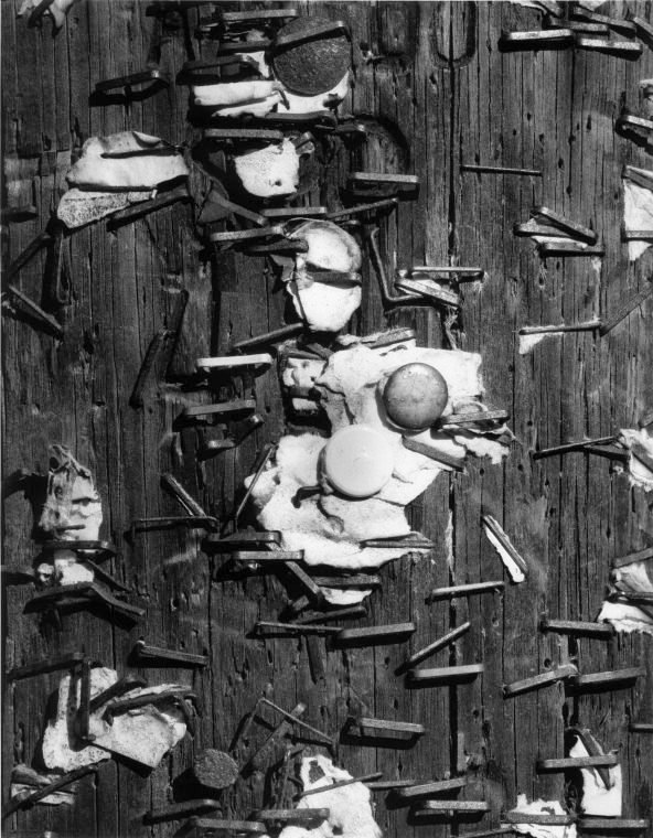 Oak_Bluffs_Telephone_Pole