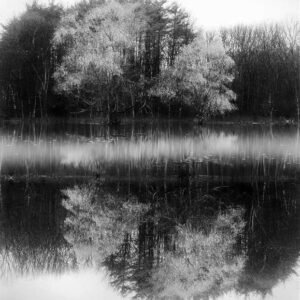 Two_Trees-Lowell_Woods