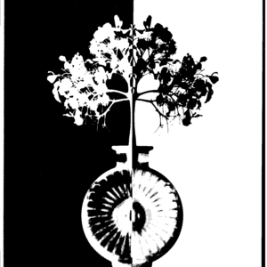 Black and White Flower Photography