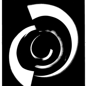 Photogram/Photographs