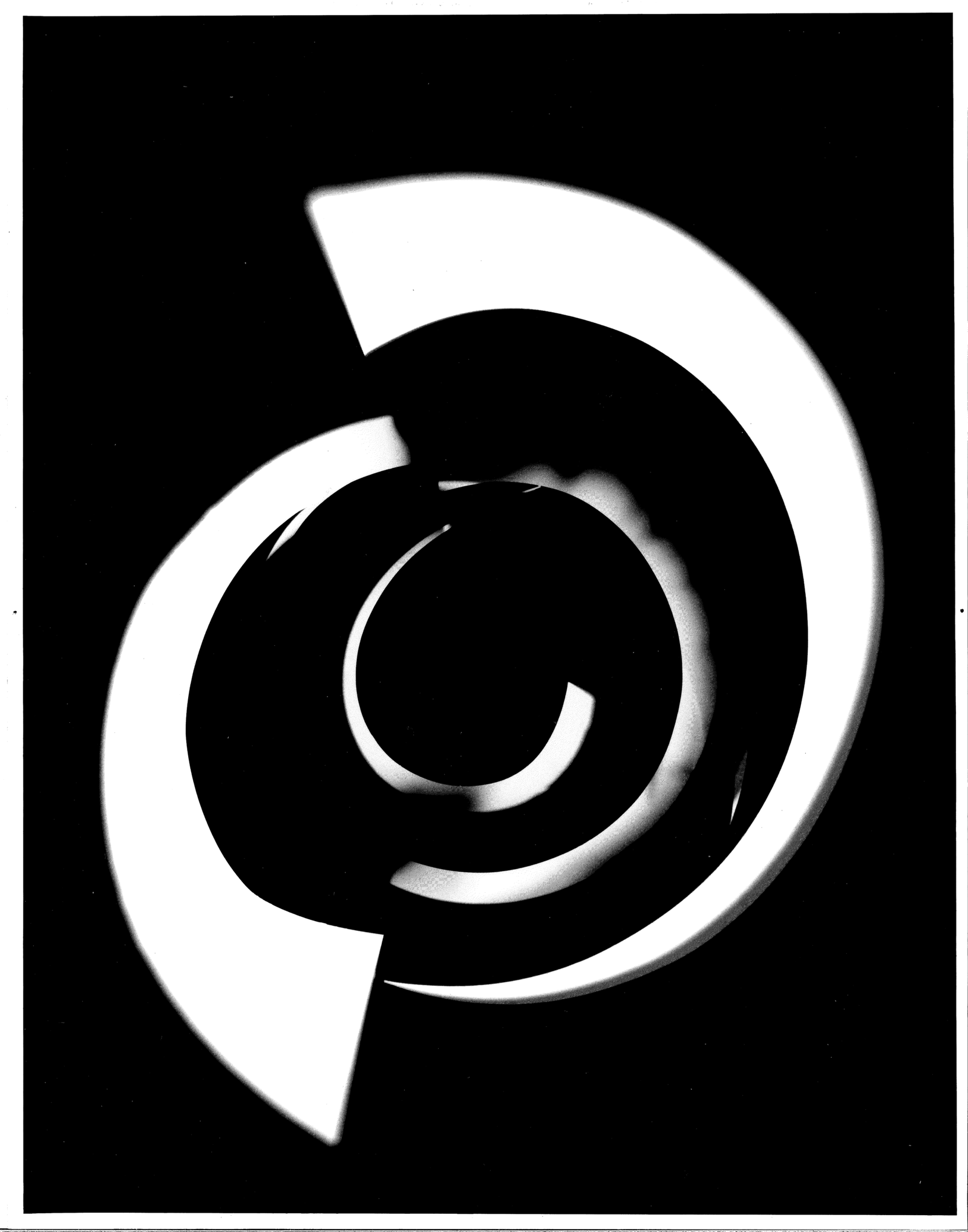 Photogram/Photographs