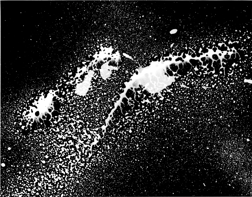 Black and White Photography