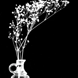 Black and white Flower