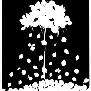 Petal droplets (photogram)