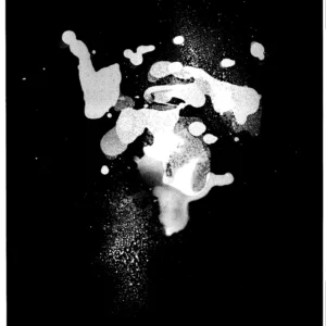 Santa in his sleigh.