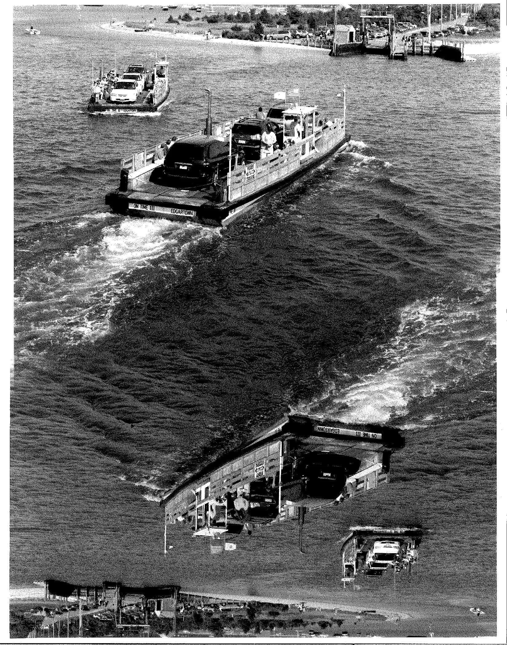 Photogram/Photographs