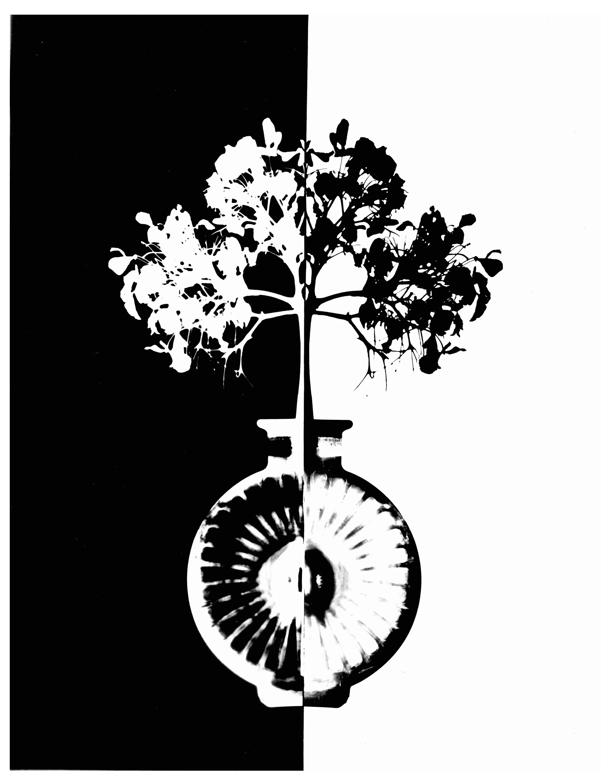 Black and White Photography