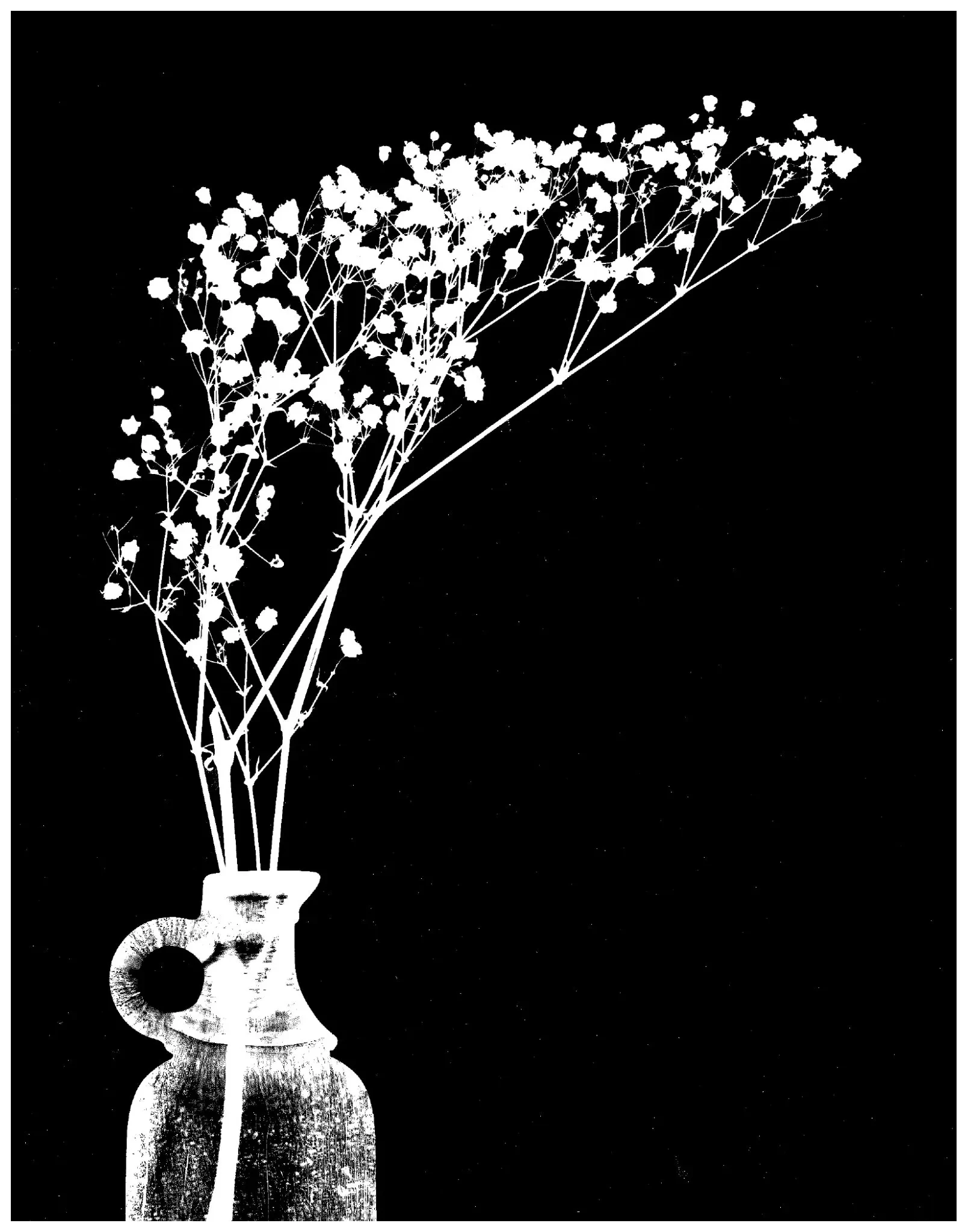 Black and White Photography