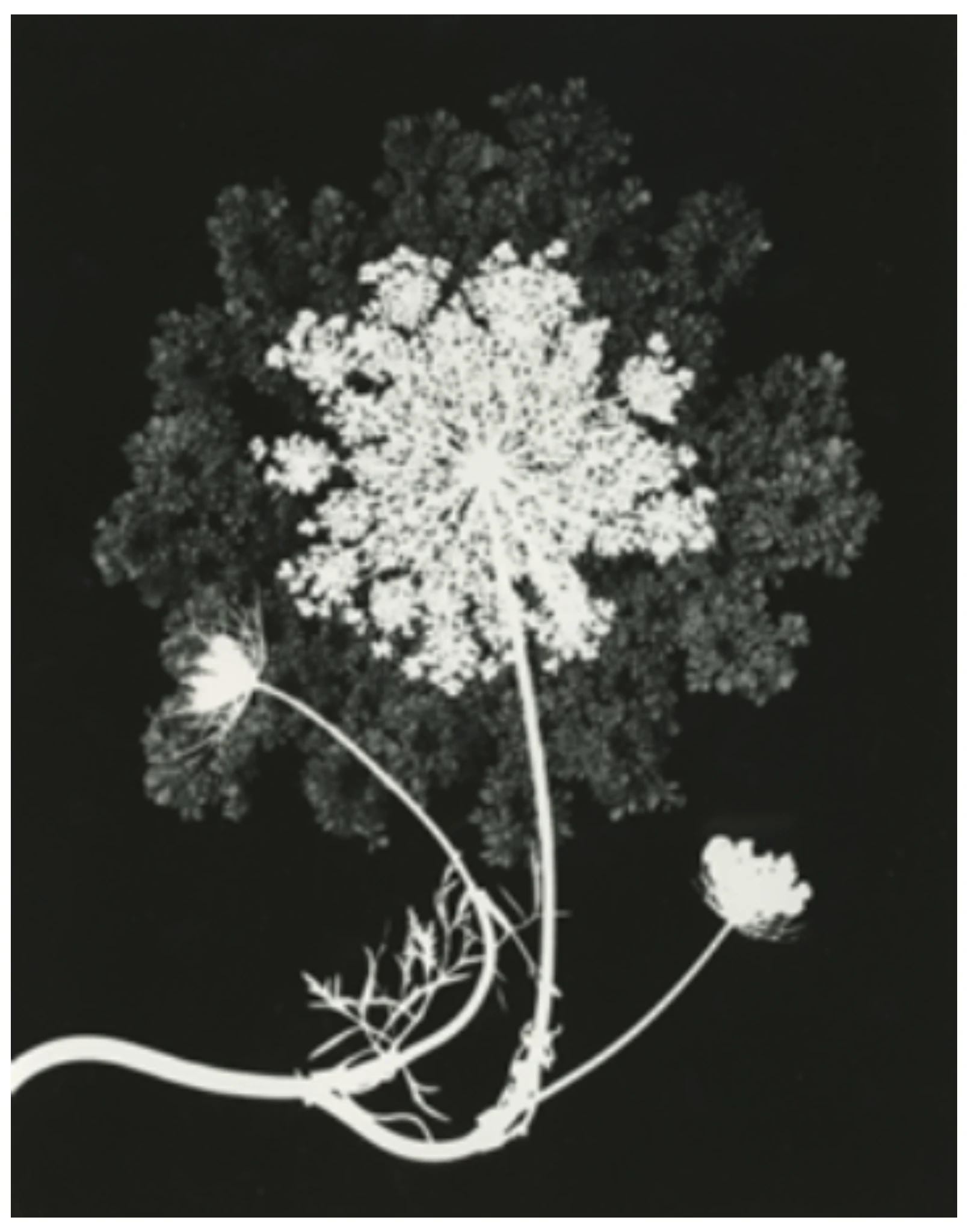 Black and White Photography